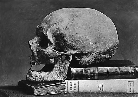 Browne's Skull